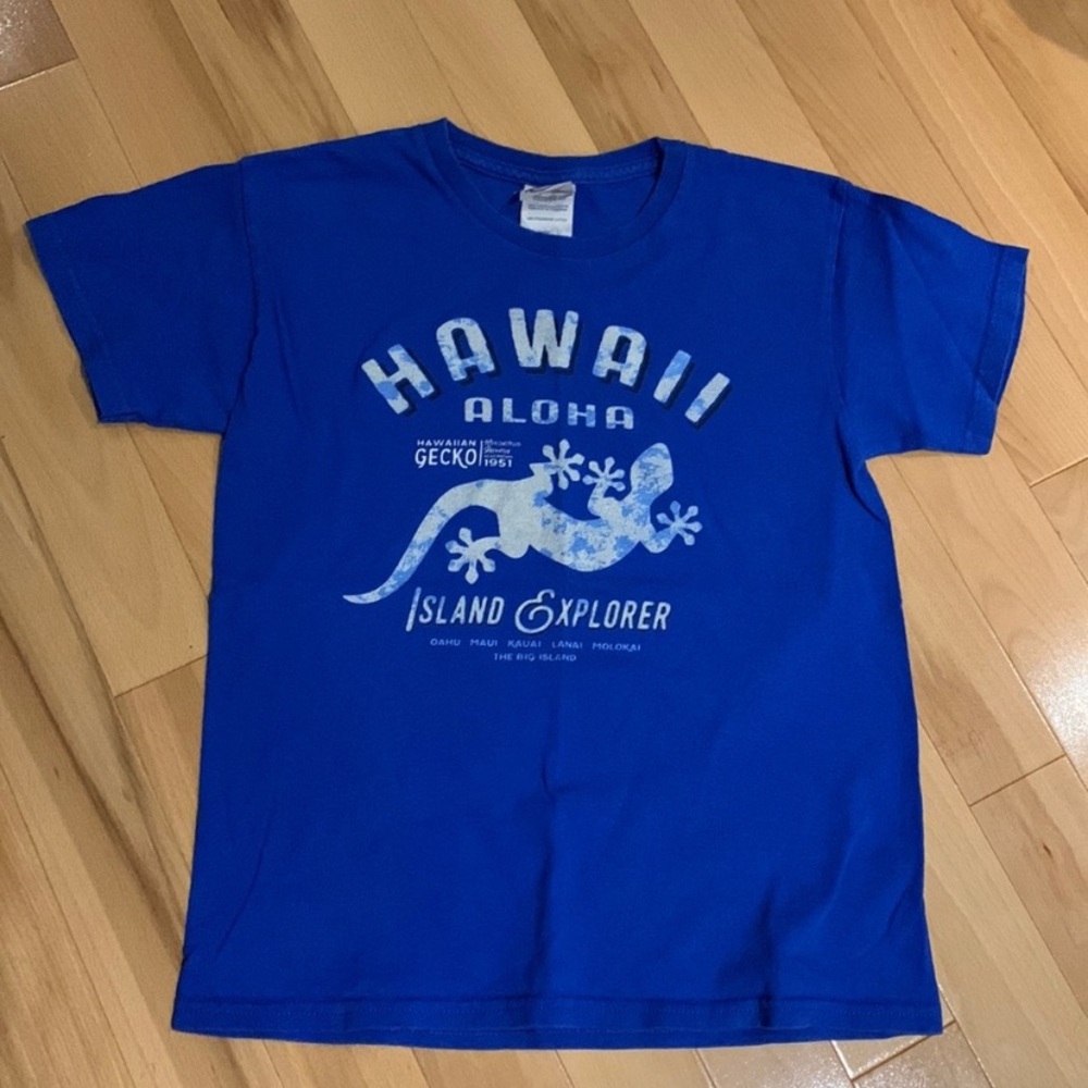 💥2/$30 Hawaii Gecko Blue Short Sleeve Tee - size M